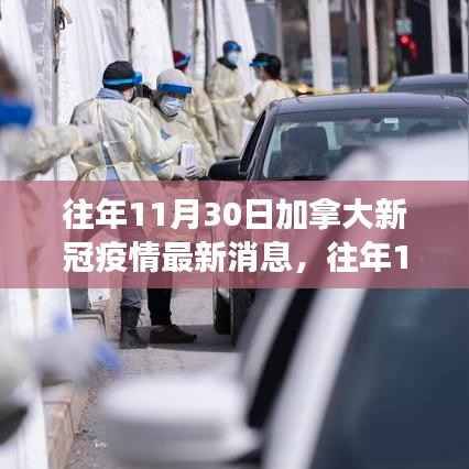 往年11月30日加拿大新冠疫情最新动态,多维度视角下的审视与观点阐述