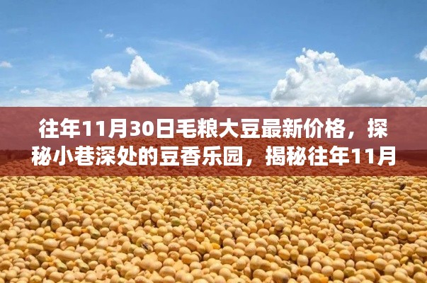 揭秘往年毛粮大豆最新价格背后的故事,小巷深处的豆香乐园探索之旅