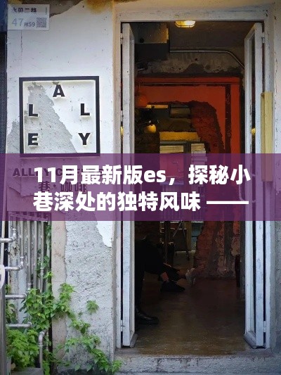 探秘小巷深处的独特风味，揭秘11月最新版es特色小店