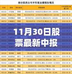 揭秘股市新星,宝藏小店的最新中报业绩与股市走势分析