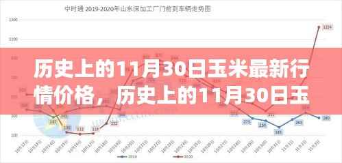 公司概况 第495页