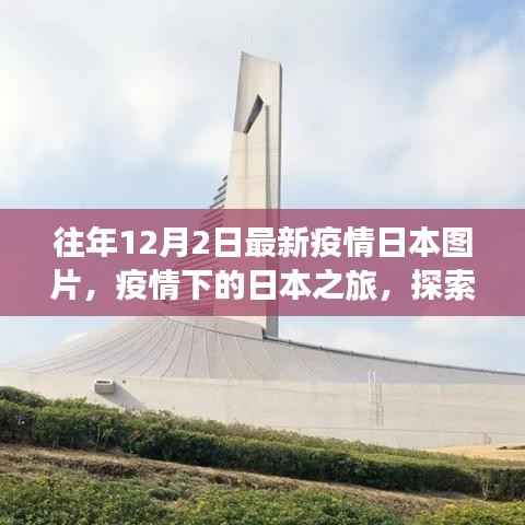 疫情下的日本之旅,自然美景与内心宁静的探索之旅