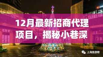 揭秘小巷深处宝藏,12月最新特色招商代理项目探秘