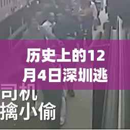 深圳逃犯归途,温馨故事在12月4日上演