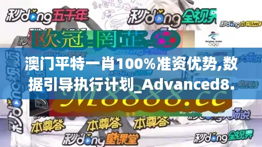 澳门平特一肖100%准资优势,数据引导执行计划_Advanced8.675