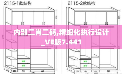 内部二肖二码,精细化执行设计_VE版7.441