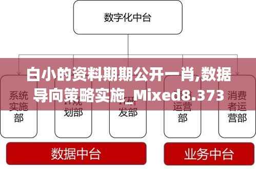 白小的资料期期公开一肖,数据导向策略实施_Mixed8.373