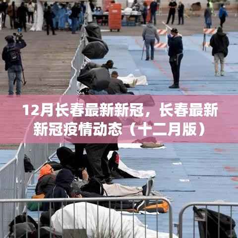 媒体报道 第424页