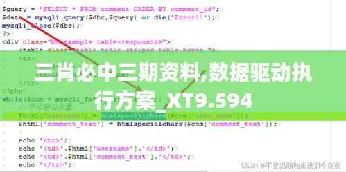 三肖必中三期资料,数据驱动执行方案_XT9.594