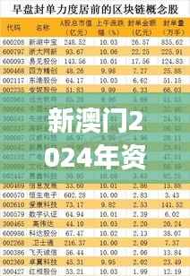 新澳门2024年资料大全管家婆,专业解析评估_顶级款7.277