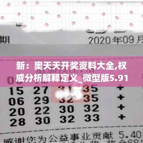 新:奥天天开奖资料大全,权威分析解释定义_微型版5.919