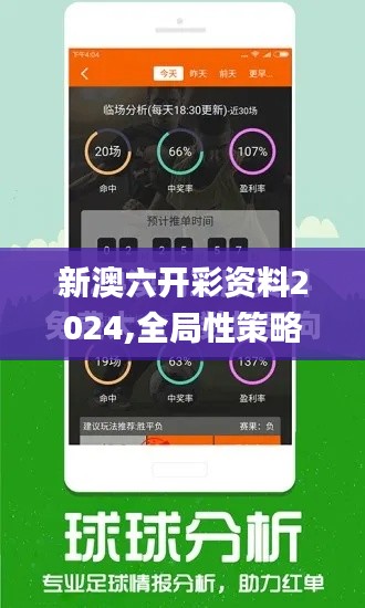 新澳六开彩资料2024,全局性策略实施协调_BT15.812