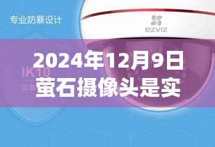 萤石摄像头开启实时录音功能,记录生活的每一刻(2024年12月9日小红书推荐)