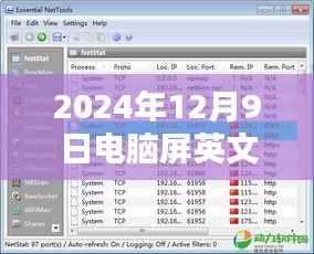 电脑屏英文实时翻译软件全面测评,最新体验报告与功能解析(2024年12月9日)
