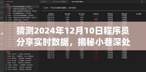 揭秘小巷深处的神秘角落，2024年实时数据程序员分享盛宴