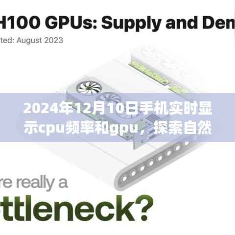 探索自然美景之旅,手机实时显示CPU频率与GPU,开启心灵的宁静之门之旅