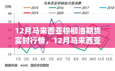 12月马来西亚棕榈油期货行情激荡,开启成功之门
