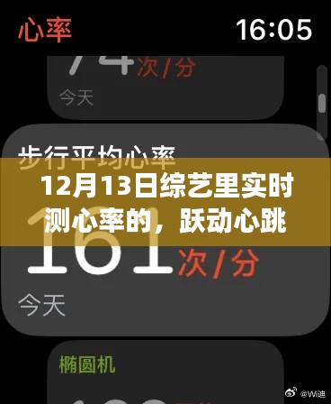 实时心率下的跃动之旅,综艺中的励志旋律与心跳力量