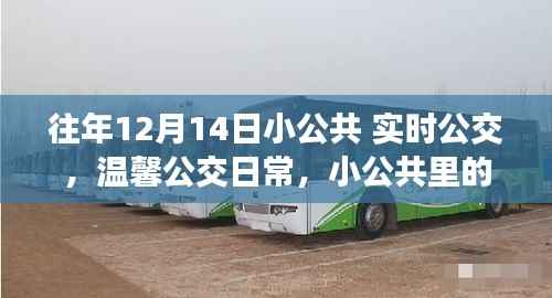 温馨公交日常与小公共里的意外惊喜与陪伴——历年12月14日回顾