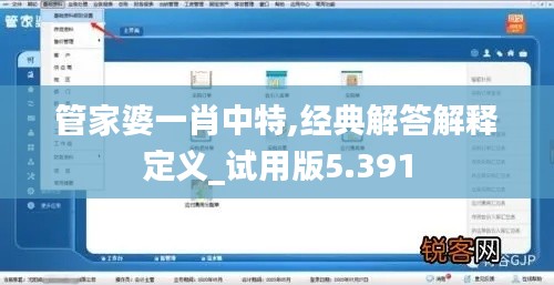 管家婆一肖中特,经典解答解释定义_试用版5.391