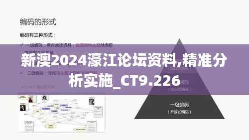 新澳2024濠江论坛资料,精准分析实施_CT9.226