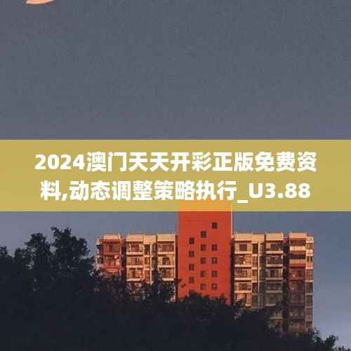 2024澳门天天开彩正版免费资料,动态调整策略执行_U3.887
