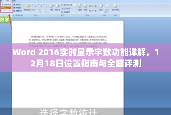 Word 2016实时显示字数功能详解及设置指南与全面评测(12月18日版)