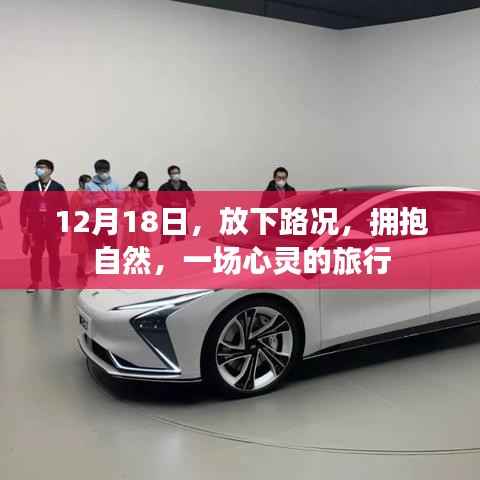 12月18日,放下繁忙,与自然共舞的心灵之旅