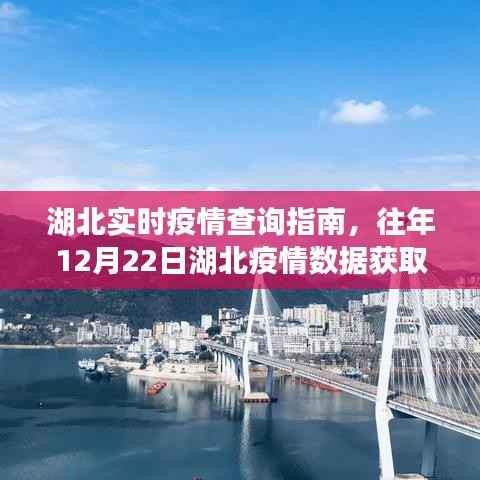 湖北实时疫情查询指南,往年数据获取详解与进阶用户适用指南