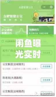 闲鱼曝光机制深度解析,实时更新与12月22日曝光机制探讨