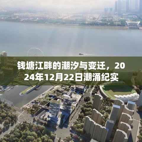 钱塘江畔潮汐变迁纪实，潮涌的见证者，2024年12月22日纪实