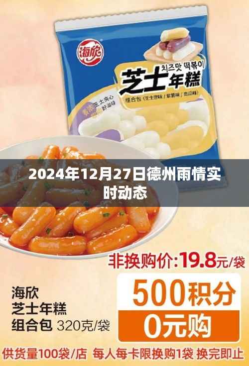 德州雨情实时更新,2024年12月27日降雨动态