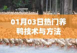 最新养鸭技术与方法，助你成功养殖鸭子！