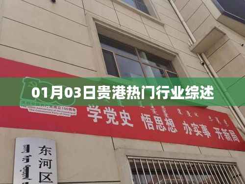 贵港热门行业最新综述,01月行业洞察