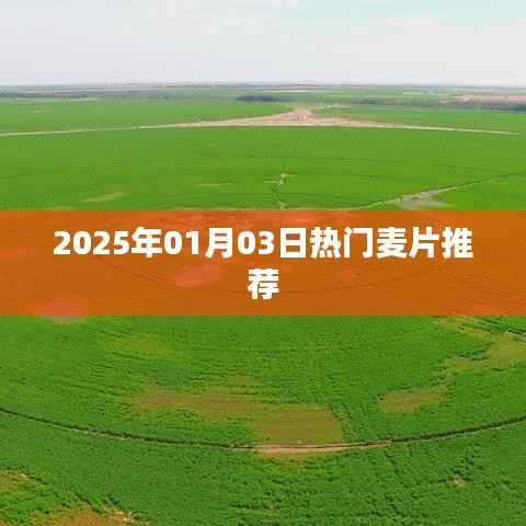 『麦片风云榜』带你了解2025年热门麦片推荐