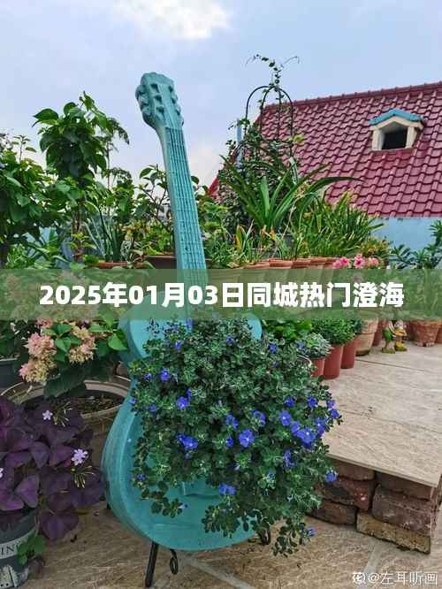 澄海同城热门活动,2025年1月3日不容错过!,简洁明了,突出了日期和澄海同城的相关信息,符合您的字数要求。