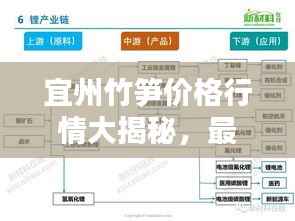 宜州竹笋价格行情大揭秘,最新报价与走势分析!