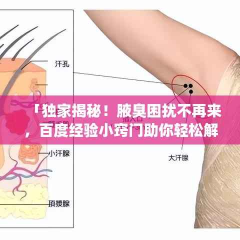 「独家揭秘!腋臭困扰不再来,百度经验小窍门助你轻松解决!」