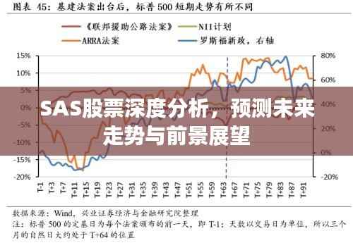 SAS股票深度分析,预测未来走势与前景展望