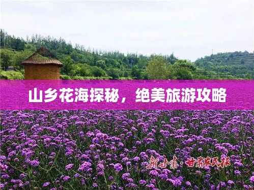 山乡花海探秘,绝美旅游攻略