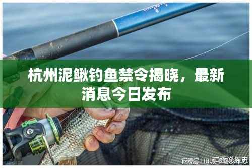 杭州泥鳅钓鱼禁令揭晓,最新消息今日发布
