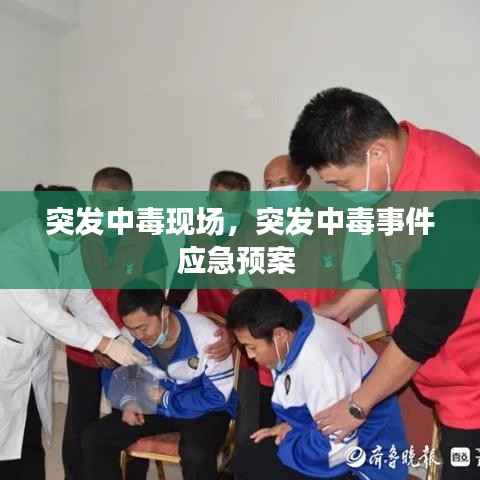 突发中毒现场,突发中毒事件应急预案