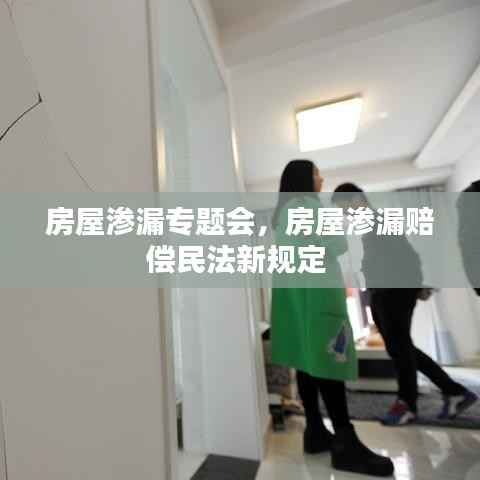 房屋渗漏专题会,房屋渗漏赔偿民法新规定