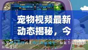 轻徙鸟举 第2页