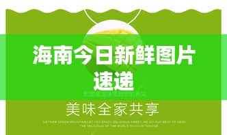 公司概况 第107页