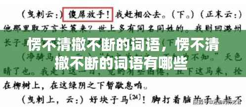 愣不清撤不断的词语,愣不清撤不断的词语有哪些