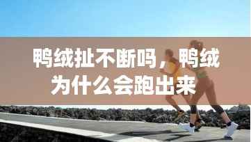 鸭绒扯不断吗,鸭绒为什么会跑出来