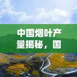 中国烟叶产量揭秘,国内排名前十的烟叶产区概览