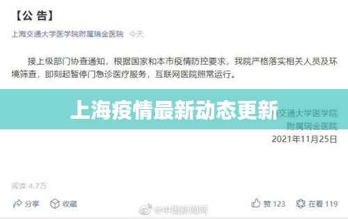 上海疫情最新动态更新