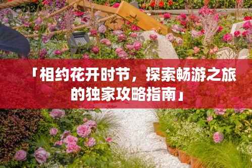 「相约花开时节,探索畅游之旅的独家攻略指南」